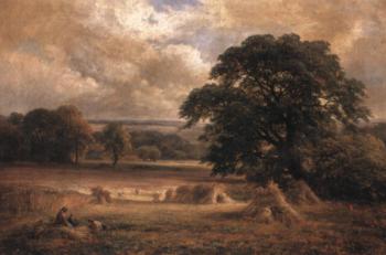 George Turner : Harvesting near Swarkestone, Derbyshire